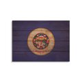 Wile E. Wood 20 x 14 in. Minnesota State Flag Wood Art FLMN-2014